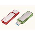 Euro classic plastic USB flash disk