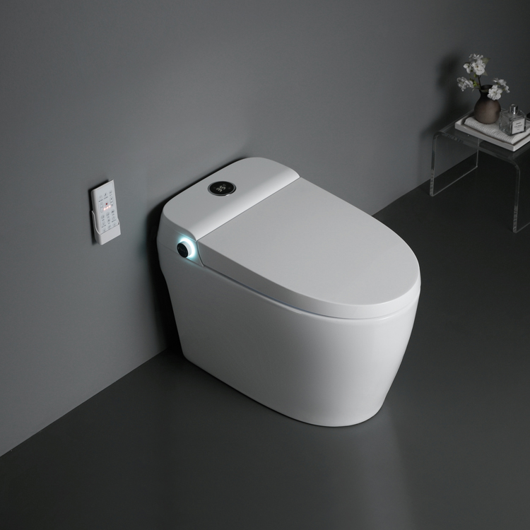 Sinking Water Tank Automatic Smart Toilet With Bidet