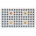 Big Promotion Phlizon 2000W COB Grow Light USA