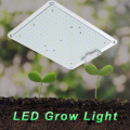 Indoor Quantum Growing Light Growth LED Grow Lamp