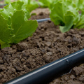 Drip Pipe For Greenhouse Irrigation System