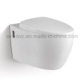 China Manufacturer Wall-Hung Toilet Bathroom Fittings Manufacturer