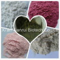 Mulberry Extract Powder / Mulberry Fruit Enzyme/Mulberry Fruit Powder