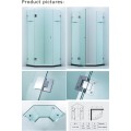 10mm Glass Thickness Shower Enclosure/Shower Door (Cvp063)