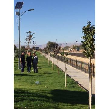 LED Solar Straßenleuchte mit Pole