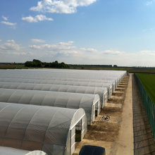 Сельскохозяйственный тоннель PE Polytunnel Greenhouse для продажи