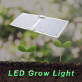 Big Power Quantum Growth LED Grow Lamp