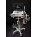 Scanner d&#39;échographies numériques numériques complet Scanner de grossesse
