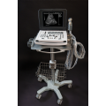 Full Digital Laptop Ultrasound Scanner Pregnancy ultrasound scanner