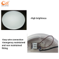 Rechargeable LED Emergency Ceiling Lamp