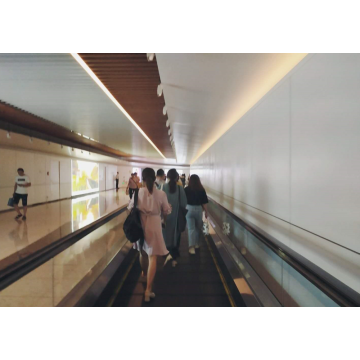 IFE GRACES-T2 Automatic Moving Sidewalk