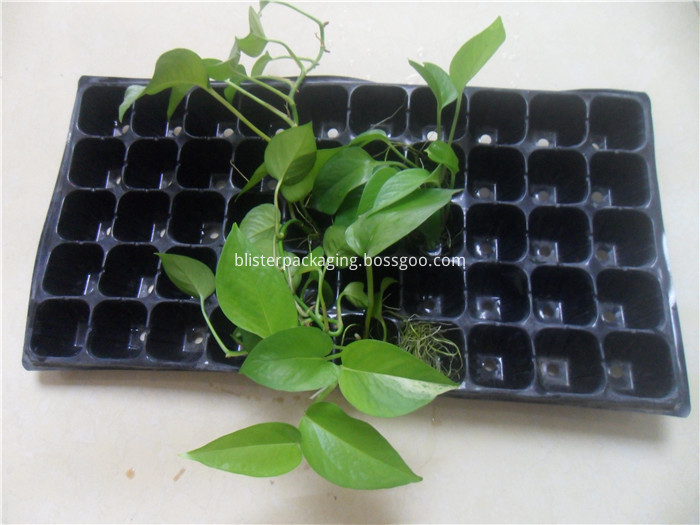 Plastic Sprouting Trays
