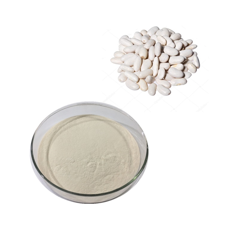 White Kidney Bean Extract