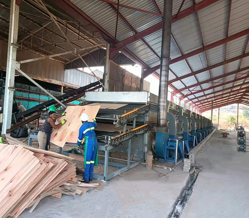 Veneer Dryer Machine Veneer Dryer Machine