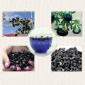 Mispel Anthocyanin Schwarz Lycium Chinense