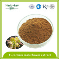 10: 1 Extracto La flor de eucommia macho contiene flavonoides