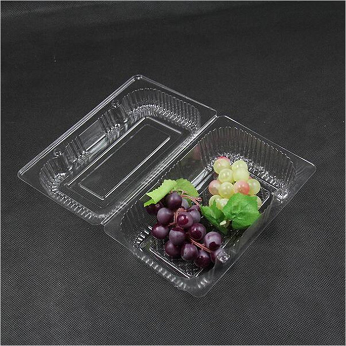 Clamshell Fruit Container