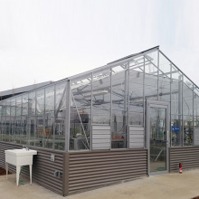 Venlo Glass Greenhouse pour légumes ou fleurs