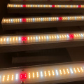 10 bar LED wachsen leichte LM301B Volles Spektrum