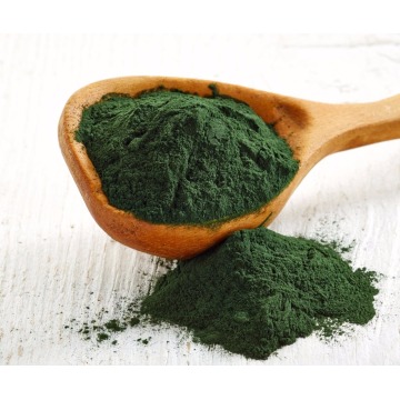 Bulk spirilina spirulina powder for sale