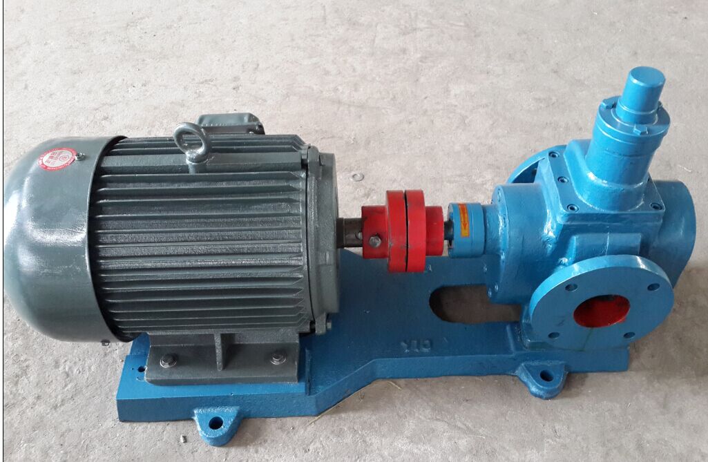 Transfer oil rotary gear pump (1)