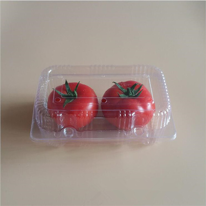 Plastic Tomatoes Packaging Container