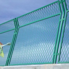 Hexagonal wire mesh anti-throing mesh fence