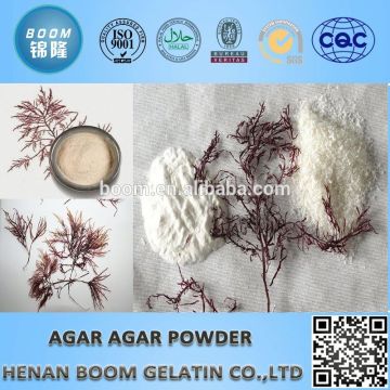 medical agar powder