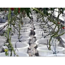 PE Drip Tape for Agricultural Irrigation