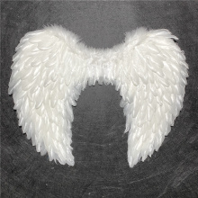 White High Quality Natural Feather Wing