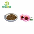 Echinacea Purpurea Extract