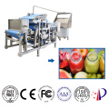 Industrial Juicer for Sale