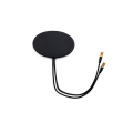 2 in 1 Screw Mount Antenna GPS