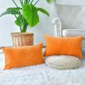 Colorful Fashion Home Fabric Throw Pillow