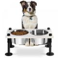 Raised Dog Bowl with Two Stainless Steel Bowls