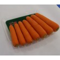 2016 High Quality Fresh Carrot for Dubai