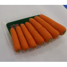 Zanahoria fresca de alta calidad de 2016 para Dubai