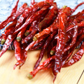 Red Dried Chili WholeSale 100% Organic Customized