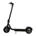 Largest 10 inch Tire Moblity Electric Scooter