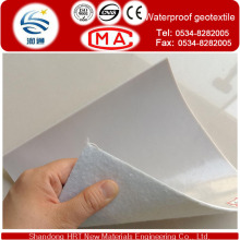 Fabricant Geotextile non-tissé imperméable à l&#39;eau avec 300G / M2-1100G / M2, revêtement de plâtre HDPE, géotextile Geomembrane HDPE