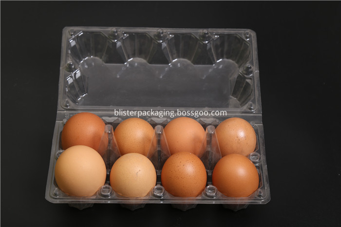 Polystyrene Egg Tray