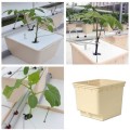 Dutch Bucket Grow Kits For Tomato, Cucumber/ Peppers