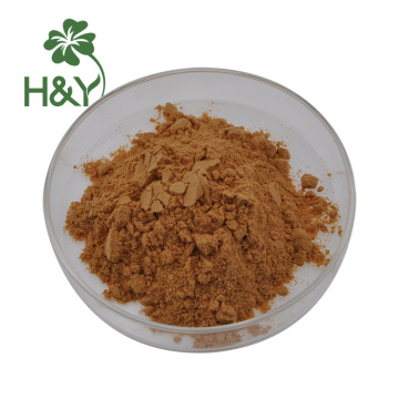 Bulk Chinese wolfberry extract powder juice Powder