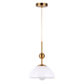 Restaurant Retro Industrial glass Loft Vintage Pendant Light