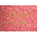 Exportar Chinês Novo Crop Boa Qualidade Red Bean