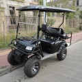 Niedriger Preis Golfwagen mit Off-Road-Reifen