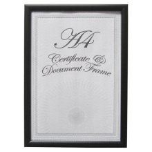 Low Cost  Plastic Document Frame