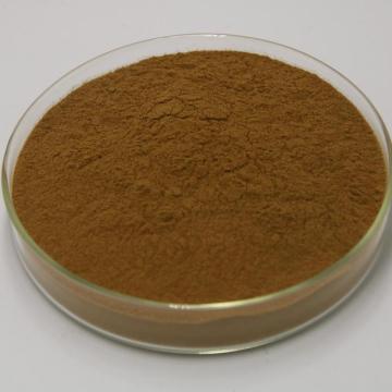 Honeysuckle extract Chlorogenic acid