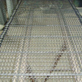 Construction Conveyor deorative mesh