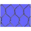 Hexagonal Wire Mesh/ Gabion Mesh/Gabion Box